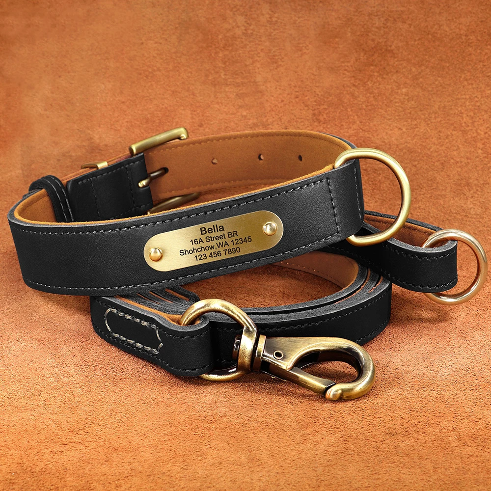 Personalisierte Hundehalsband-Leine aus echtem Leder, langlebige Hundehalsbänder, Gehbleine, Seil, frei mit Gravur für kleine, mittelgroße und große Hunde – Detail 35