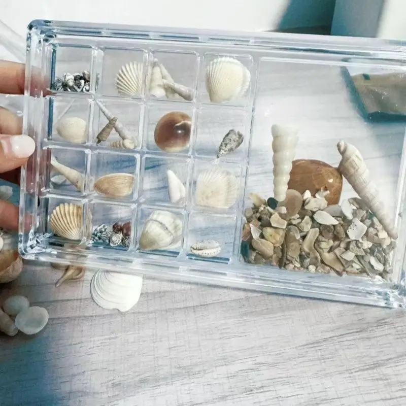 [JT]1Pc Durable Starfishs Trinket Storage Case 17-Grid Acrylic Seashell Display Box With Magnets For Bead Nail Jewelry Chic Gife
