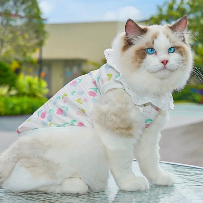 Camiseta de verano para perros y gatos - Sin mangas y cuello de encaje - imagen 3