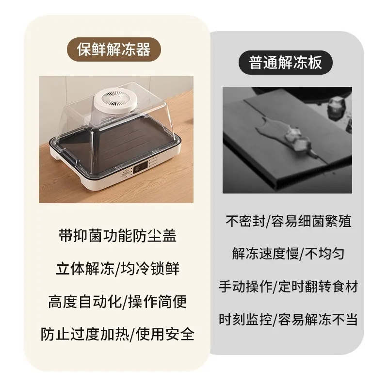 Upgraded Defrosting Tray, Fast Food Defrosting Plate for Meat Steak, Kitchen Household Food Fresh Keeping Tool