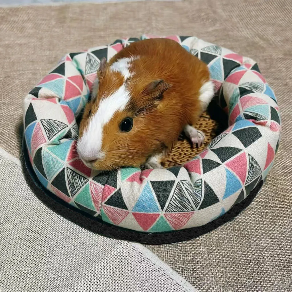 Round Summer Pet Bed for Small Animals Mole Guinea Pig Bed
