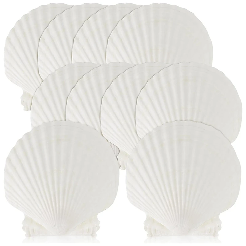 

15 PCS Natural Sea Shell Large White, 4-4.7 Inch Scallop Shells For DIY Craft, Serving Food, Baking And More Durable 10-11Cm