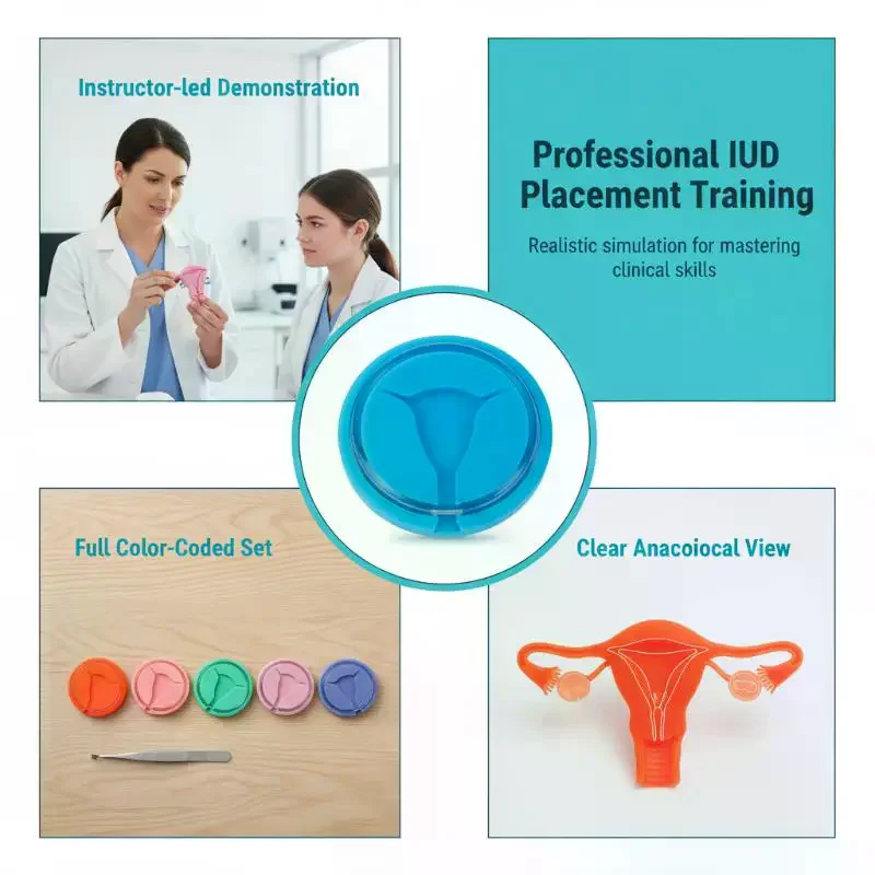 IUD Training Model - Y Shape Female Intrauterine Contraceptive Device for  Teaching Clinic Display