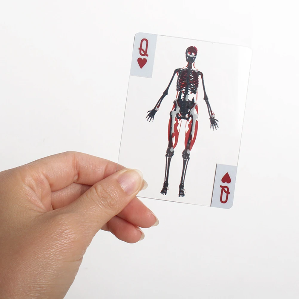 

3D Image Educational Cards Wear Resist Funny Anatomy Poker Multi-Purpose Human Anatomy Playing Cards for Anatomy Enthusiasts