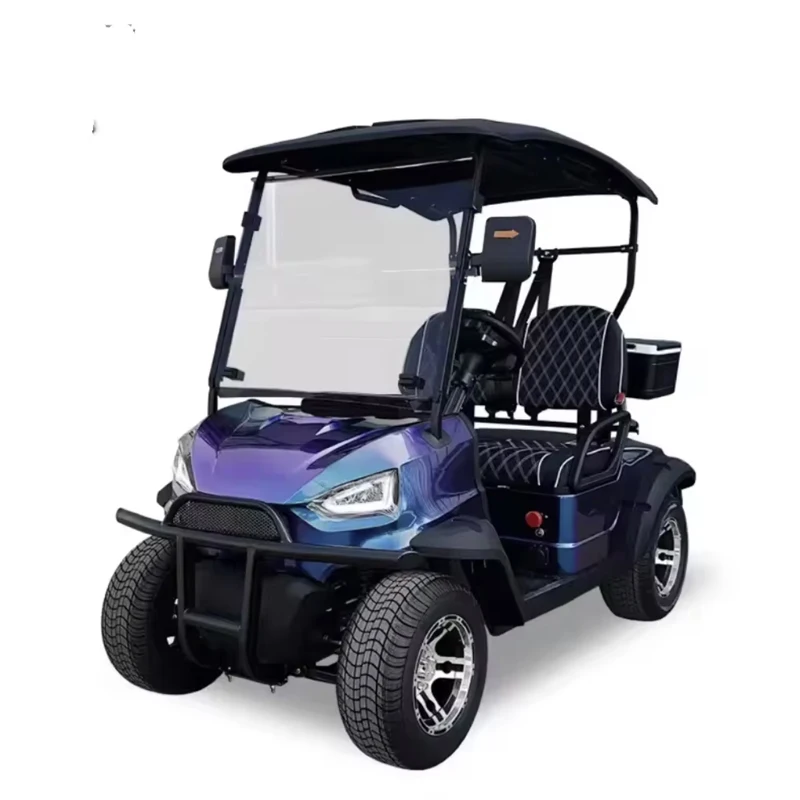 Mini version new 2 seats 2+2 seats electric golf cart with folding glass front bumper electric golf cart