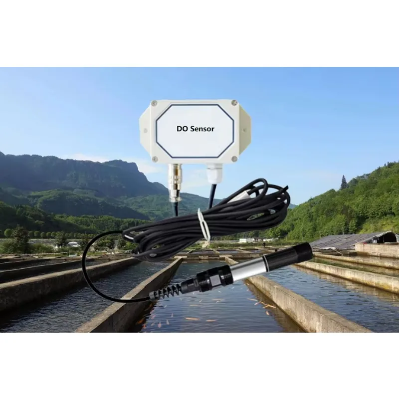 2026 In stock Industrial Dissolved  and Temperature Sensor with RS485 Digital Output for Water Quality Monitoring