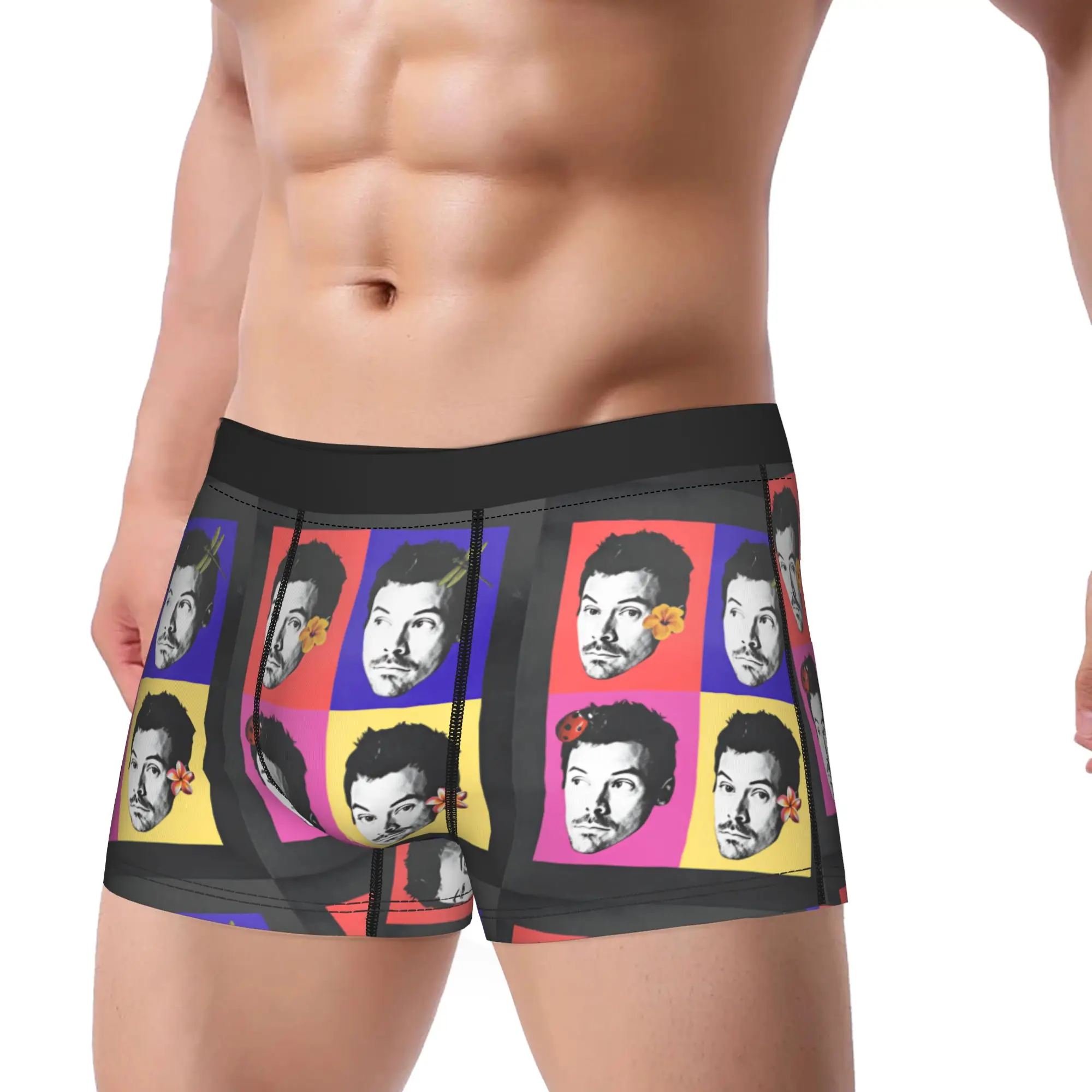 Singer H-Harrys S-Styles Kiss Al the Time Underwear  Novelty Underpants Design Boxer Brief For Males Pouch Plus Size Trunk