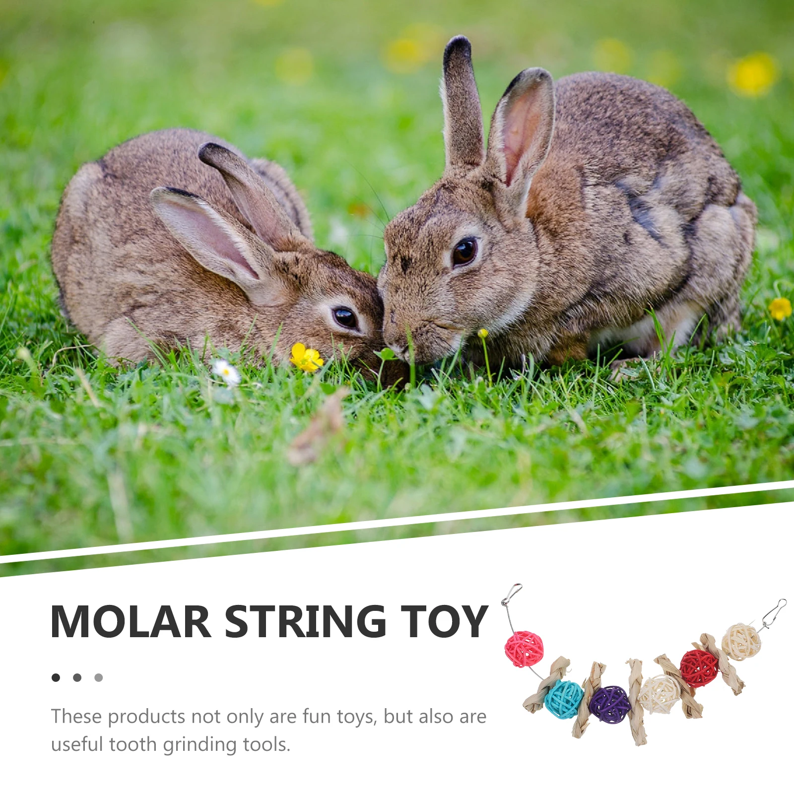 

Natural Bunny Molar For Rabbit Guinea Pig Hamster Small Chewing Plaything Decorative Household Pet Supply Pet Biting Plaything