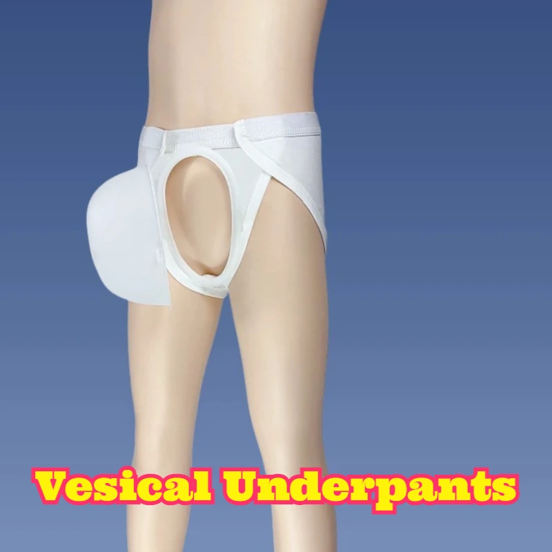 2pcs Post Surgery Protective Underwear Private Area Recovery Wear Stick Closure New Style Comfortable Breathable Soft Fabric