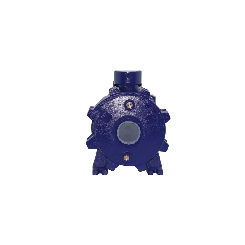 2JCP50/300 Series 3HP Multi-Stage Brass Impeller High Pressure Centrifugal Pump for Family Homes with OEM Customization
