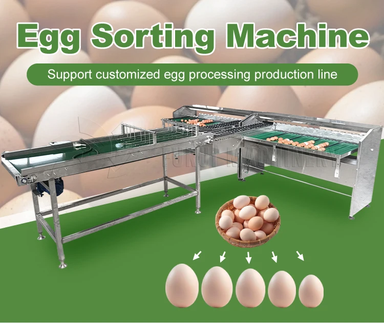 Electric high-quality fully automatic egg grading machine, goose egg weight sorting machine