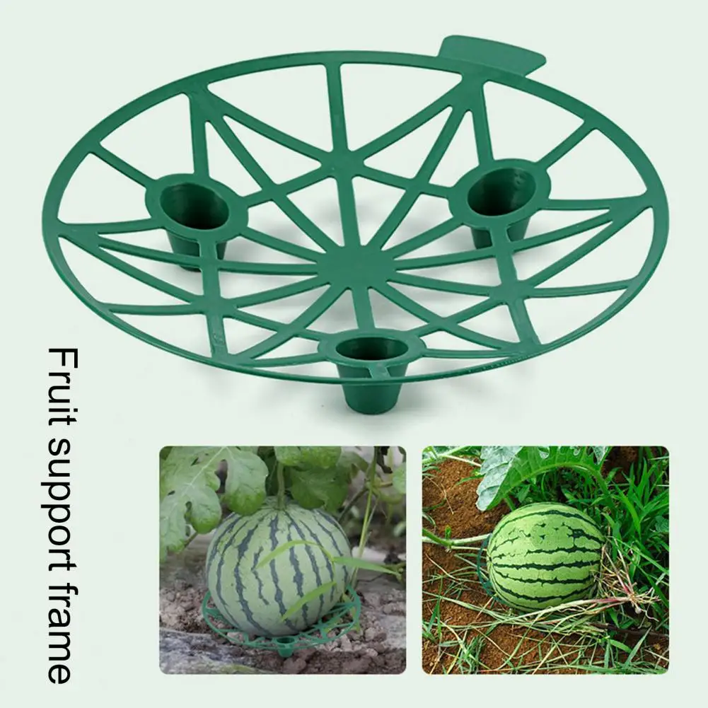 

1PCS Melon Cradle Strong Bearing Capacity Anti-corrosion Fruits Storage Cantaloupe Pumpkin Support Tray for Melons Fruits