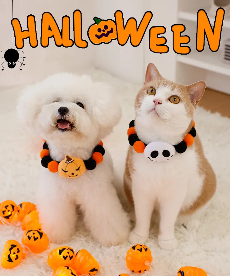 https://ae-pic-a1.aliexpress-media.com/kf/S44bd2c8450d44426ba287d2de42e2c61a.jpg