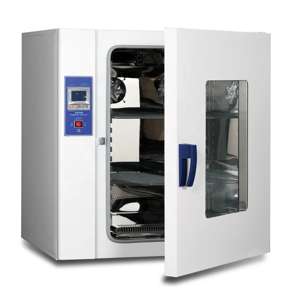 Lab Digital Display Blast Drying Oven Stainless Steel Thermostatic Device For Laboratories