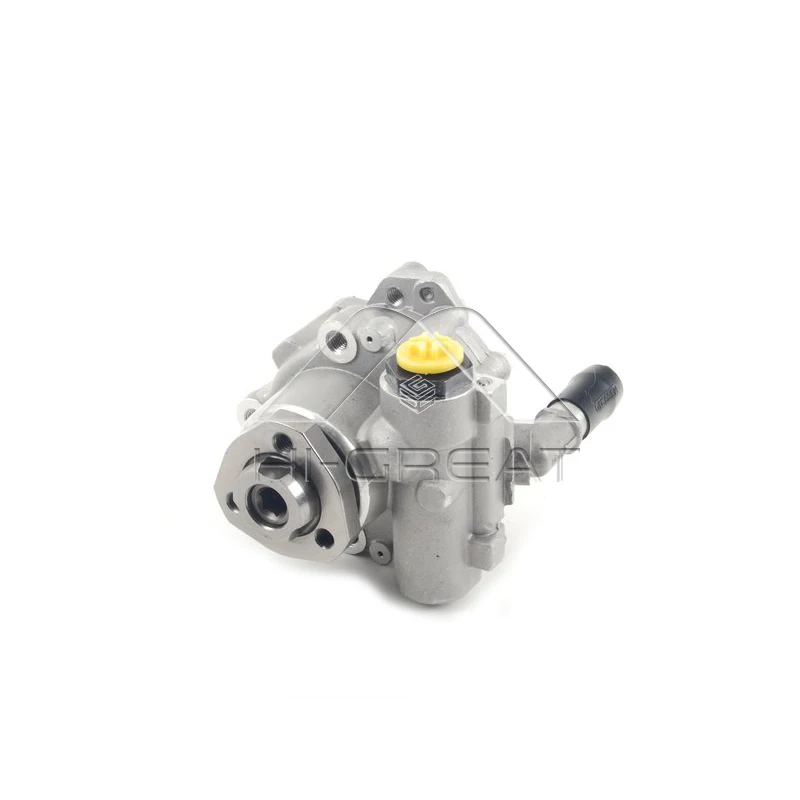 

Car Power Steering Hydraulic Pump Chinese Manufacturer 2E0 422 155 C For VW CRAFTER