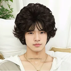 Brown Curly Wigs for Men Synthetic Hair Short Hairstyles Asian Wig Cosplay Carnival Party Costume Wigs for Daddy Replacement