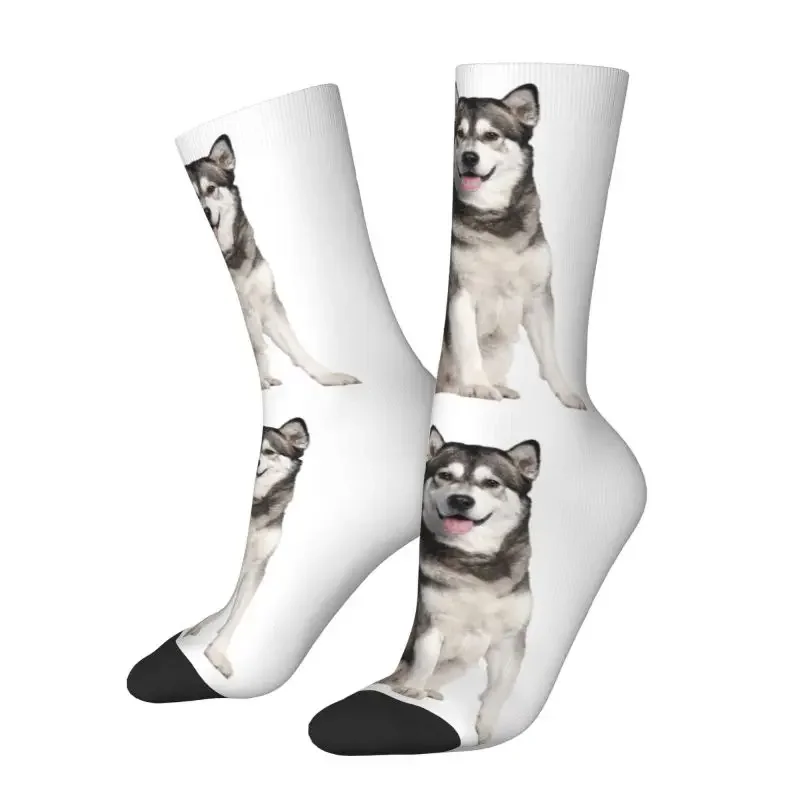 Alaskan Malamute Dog Dress Socks Men Women Warm Fashion Siberian Husky Crew Socks