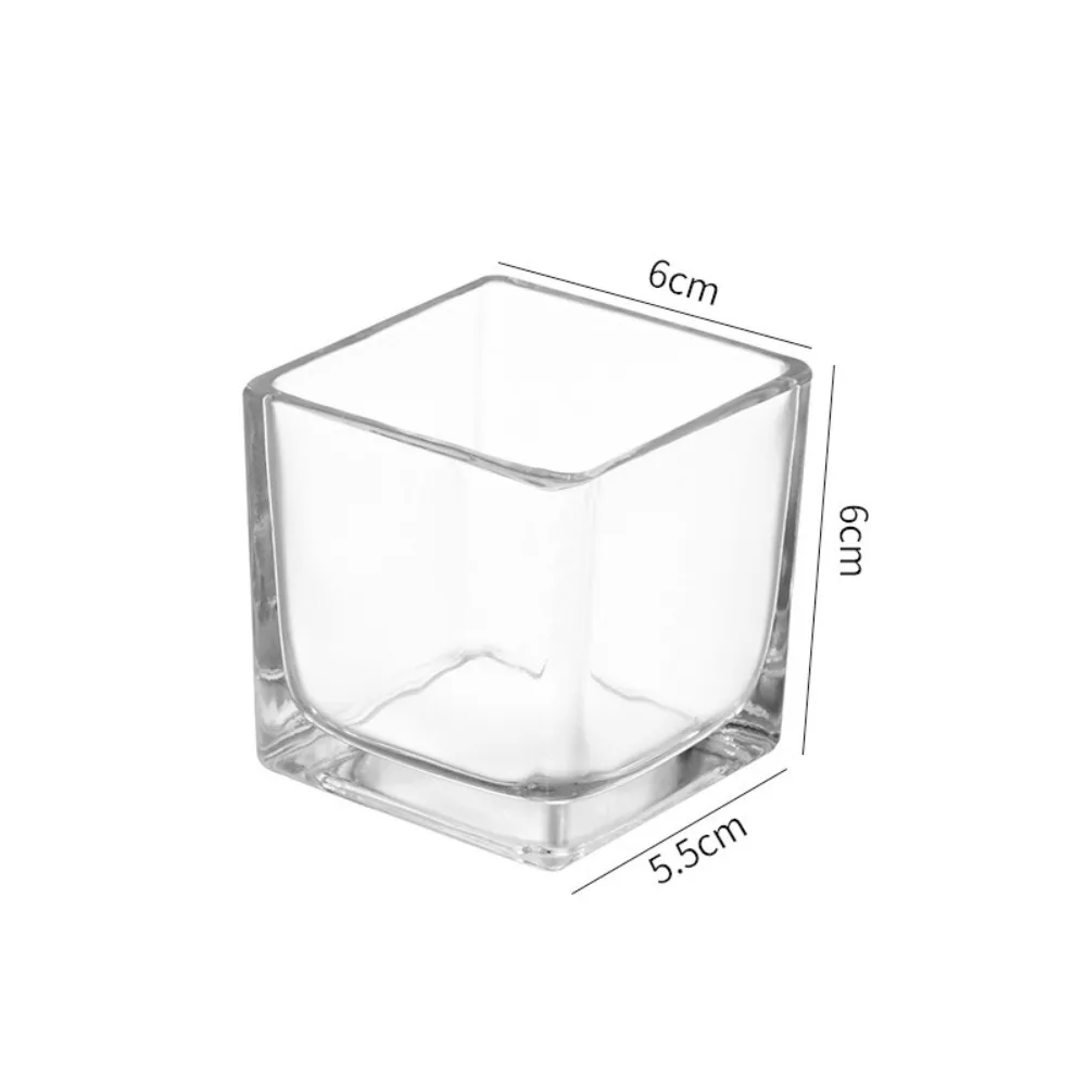 Jarrón de Vidrio Cuadrado Transparente Minimalista, Maceta Geométrica Hidropónica, Jarrón Cúbico para el Hogar