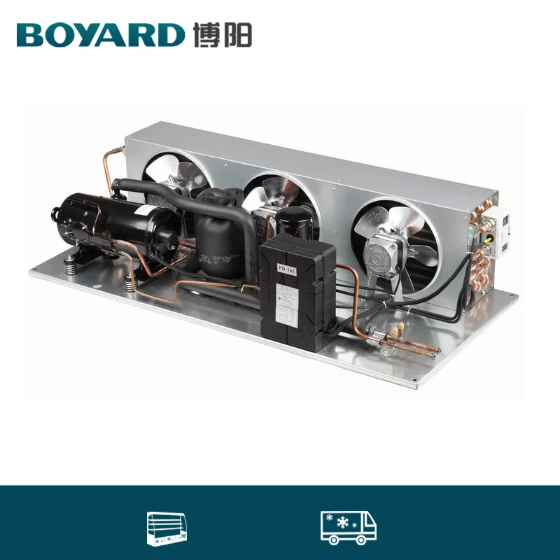 Customize Cold Room Chambre Froide Solaire Refrigerated Container 20 Feet Solar Cold Storage Blast Freezer