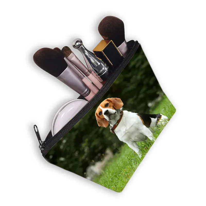 Étui à cosmétiques imprimé chien Terrier BelaurBoston mignon pour femmes, sacs de maquillage, trousse de toilette d'évaluation, fermeture éclair, poudres, rouge à lèvres