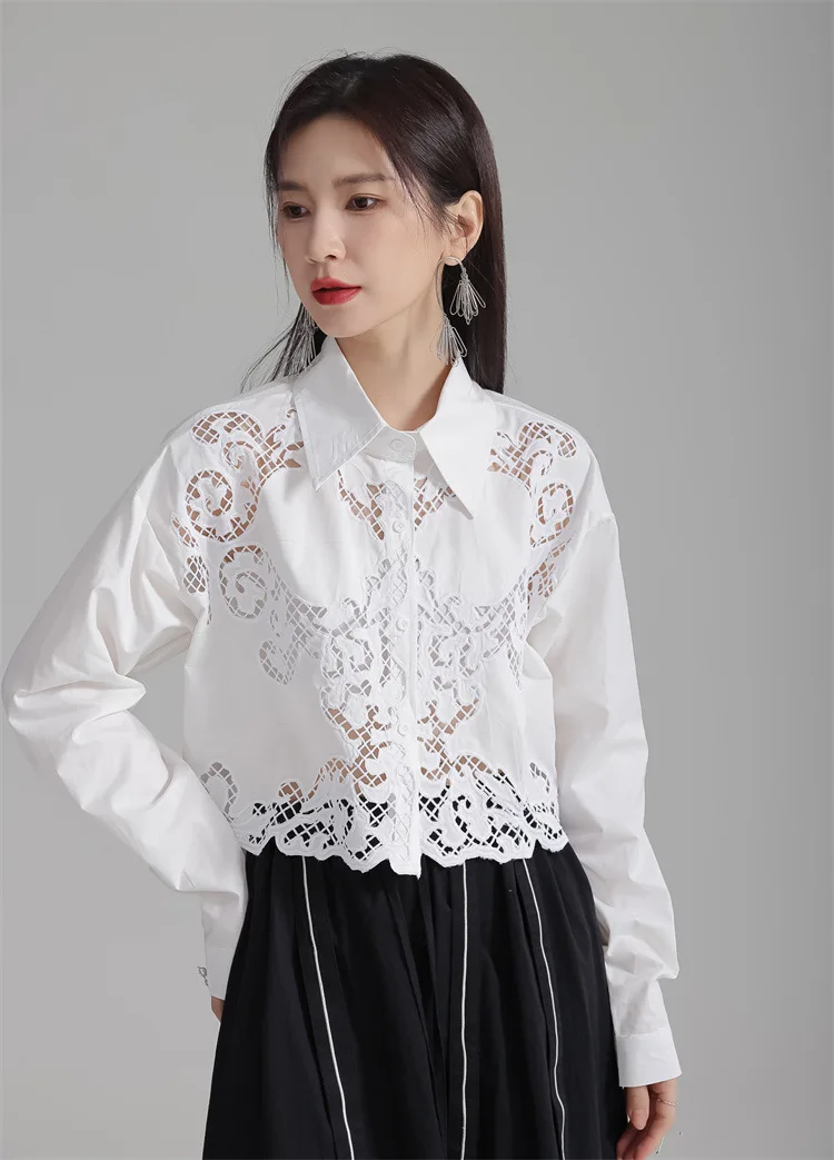

Hollow Out Lace Crochet Shirt Women Summer Autumn Korean Style Fashion Shirts Blouses Office Lady Casual Loose Tops Streetwear