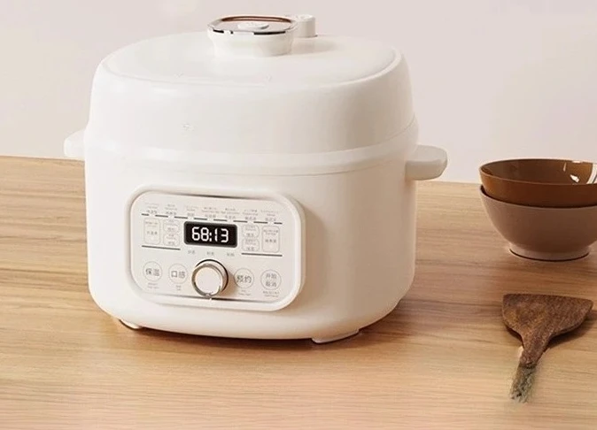 Pressure Cooker with Rice Cooker and Pressure Cooker Functions