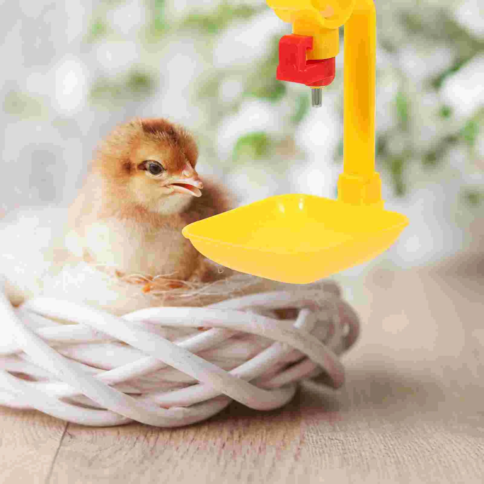 10 Pcs Water Glasses Chicken Cup Waterer Cups Feeder Drinking Equipment Orange Supplies Poultry Feeders