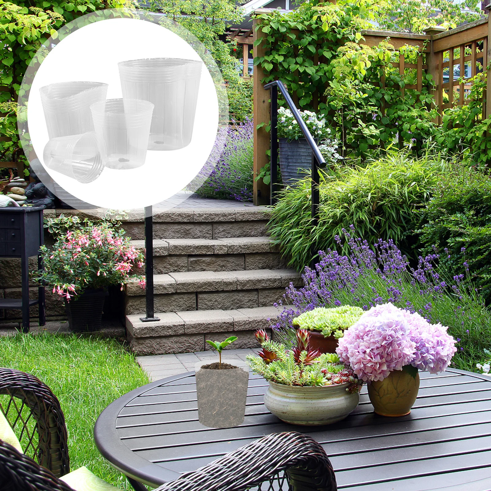 

36 Pcs Nursery Cup Clear Pot Flower Container Transparent Plastic Seedling Pots Orchid