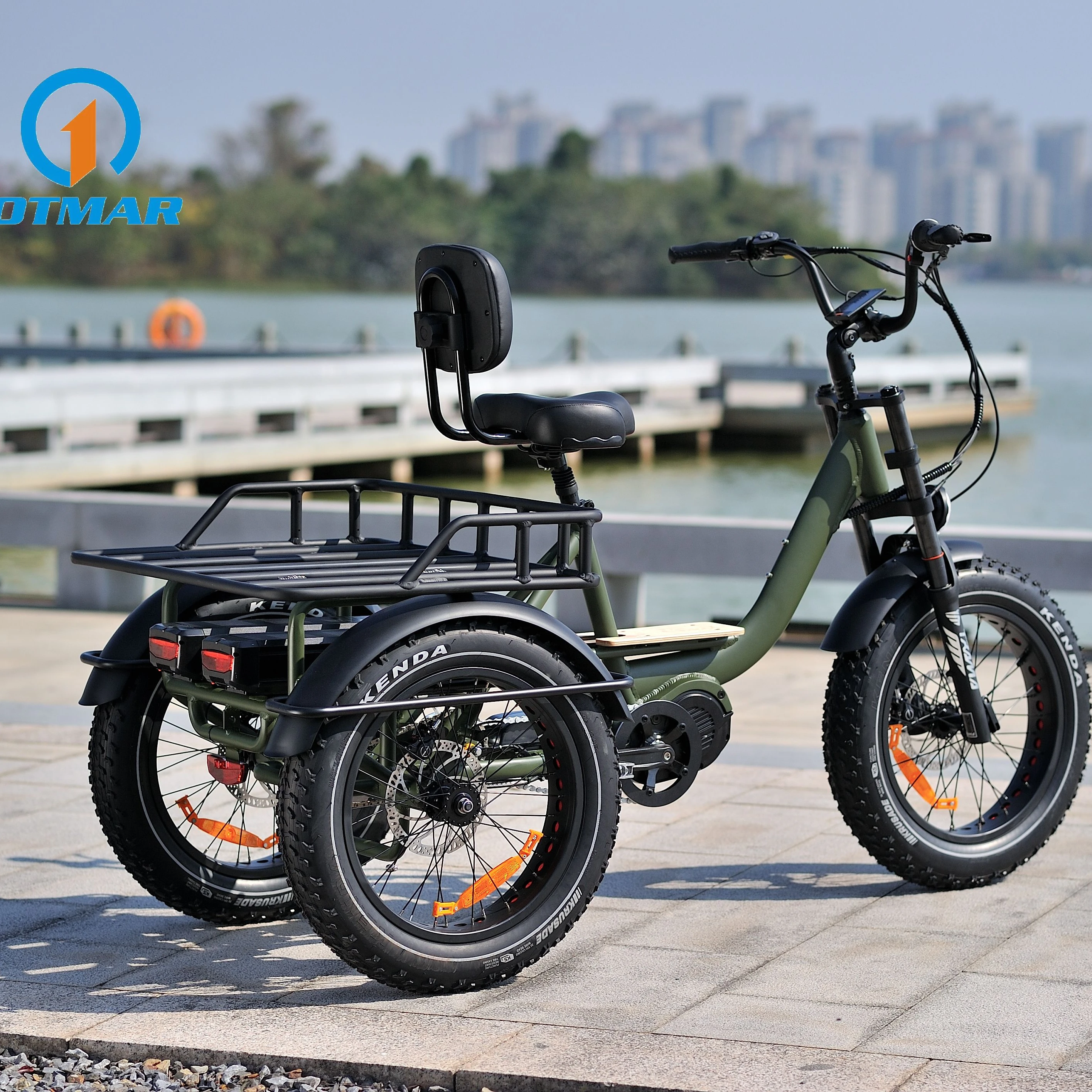 48V 1000W 20*4.0 Fat Tire Mid Drive Camping Long Range Electric Cargo Bike 3 Wheel Electric Bike