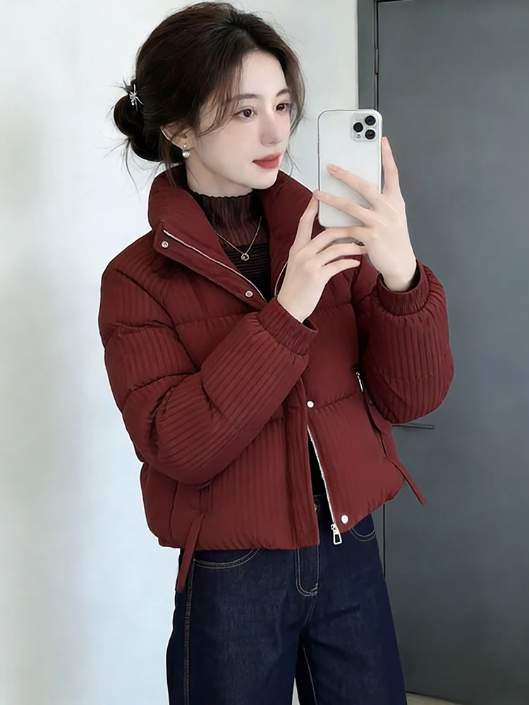 

Утепленная женская зимняя куртка с карманами на молнии, в корейском стиле, для повседневной носки, больших размеров, на флисовой подкладке, верхняя одежда