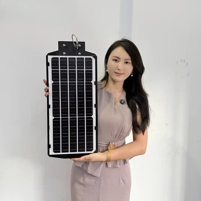 

IP65 Солнечный уличный фонарь Встроенная водонепроницаемая камера с солнечной полосой