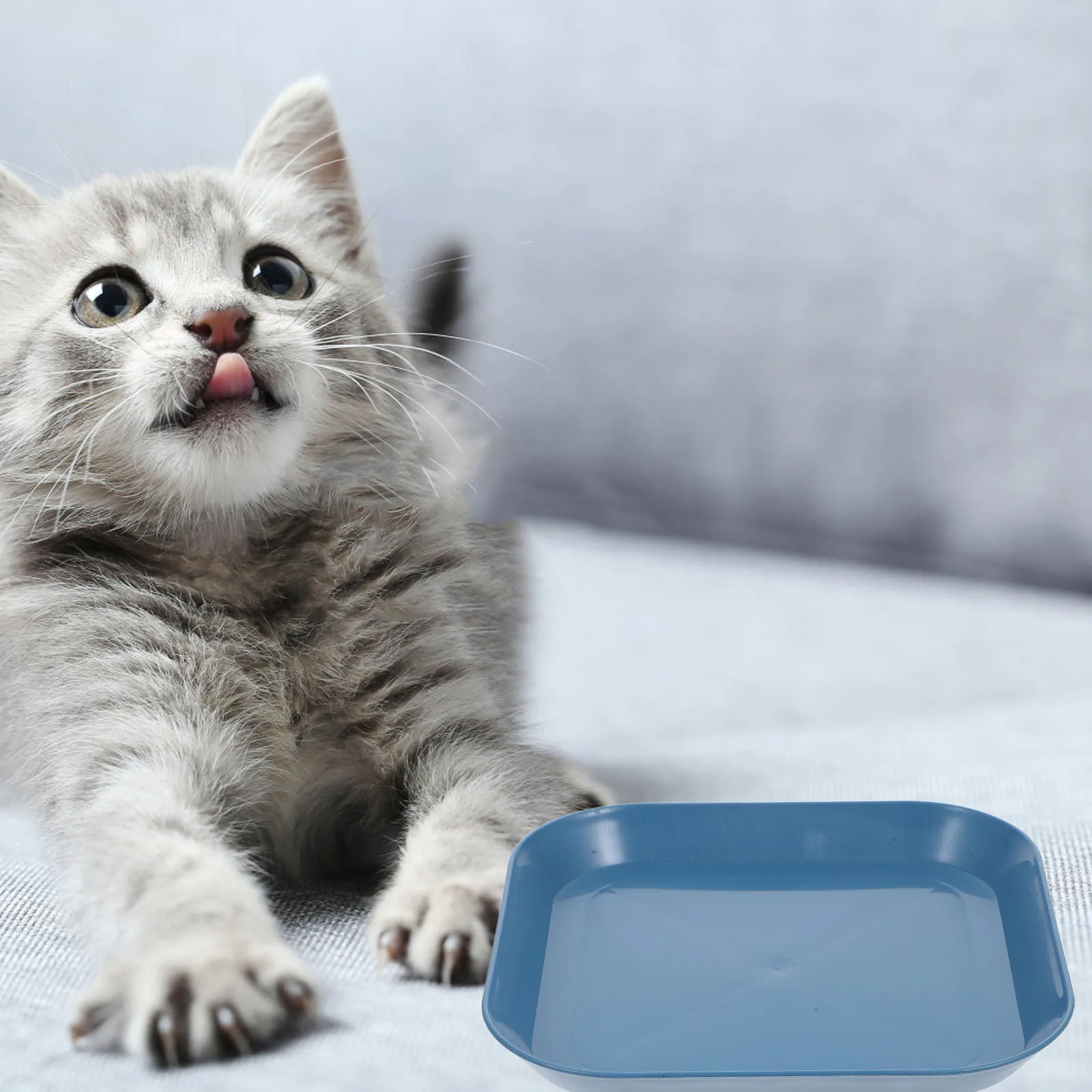

1 Set Of Cat Food Bowls For Indoor Cats Pp Material Nonslip Flat Bottom Pet Feeding Dish Square Sturdy Bowl Small Pets Easy