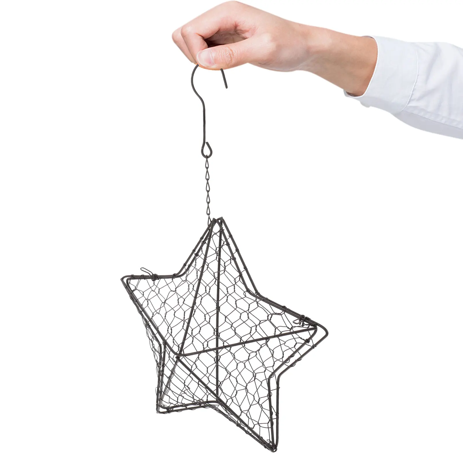 

Wall Plant Holder Iron Frame Pot Unique Design Easy Display Space Saving Indoor Outdoor Use Iron Hanging Planter