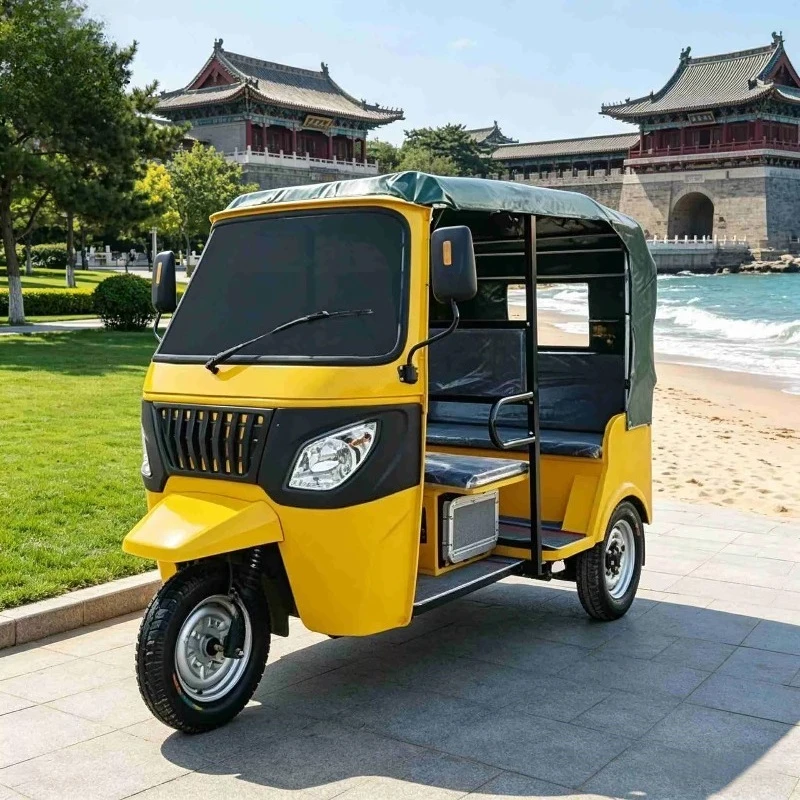 New Electric Three-wheeler with Integrated Rear Axle and Independent Suspension Tourist tricycle