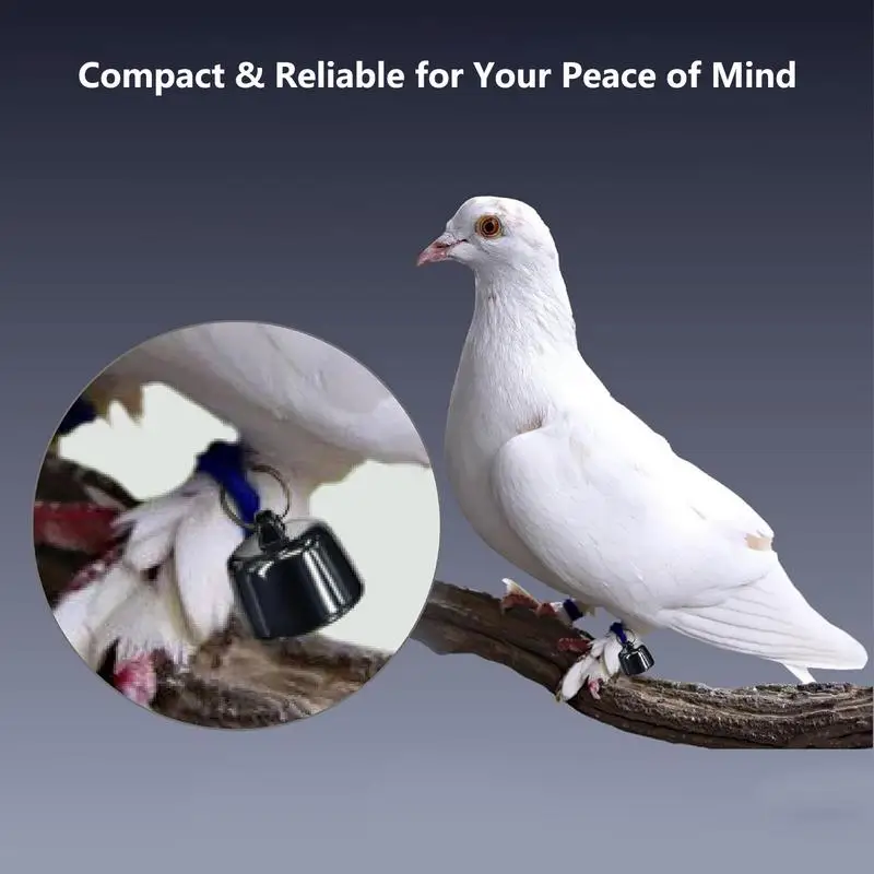 

Tracker For Dogs Small Cat Locator Ergonomic Multifunctional GPS Tracker For Luggage Travel Outdoors Dogs Cats Elderly