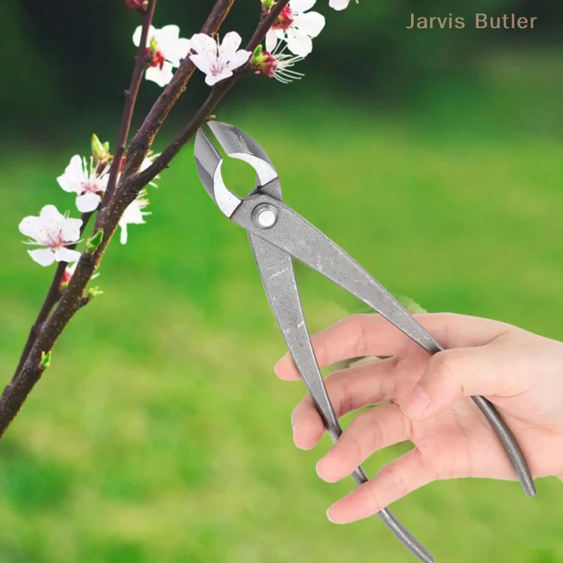 210mm 8 inch Garden Branch Cutter Forged Steel Round Edge Beginner Scissors