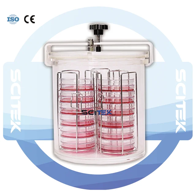 Customizable PMMA Anaerobic Jar with 3 Stacks of 12 Dishes for Laboratory Use OEM Support