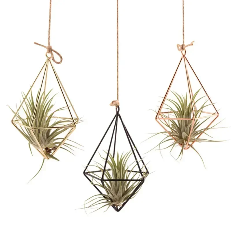 Geometric Metal Flower Bracket, Garden Basket, Wall Decoration, Hanging Air Plant,  Pot Rack Holder