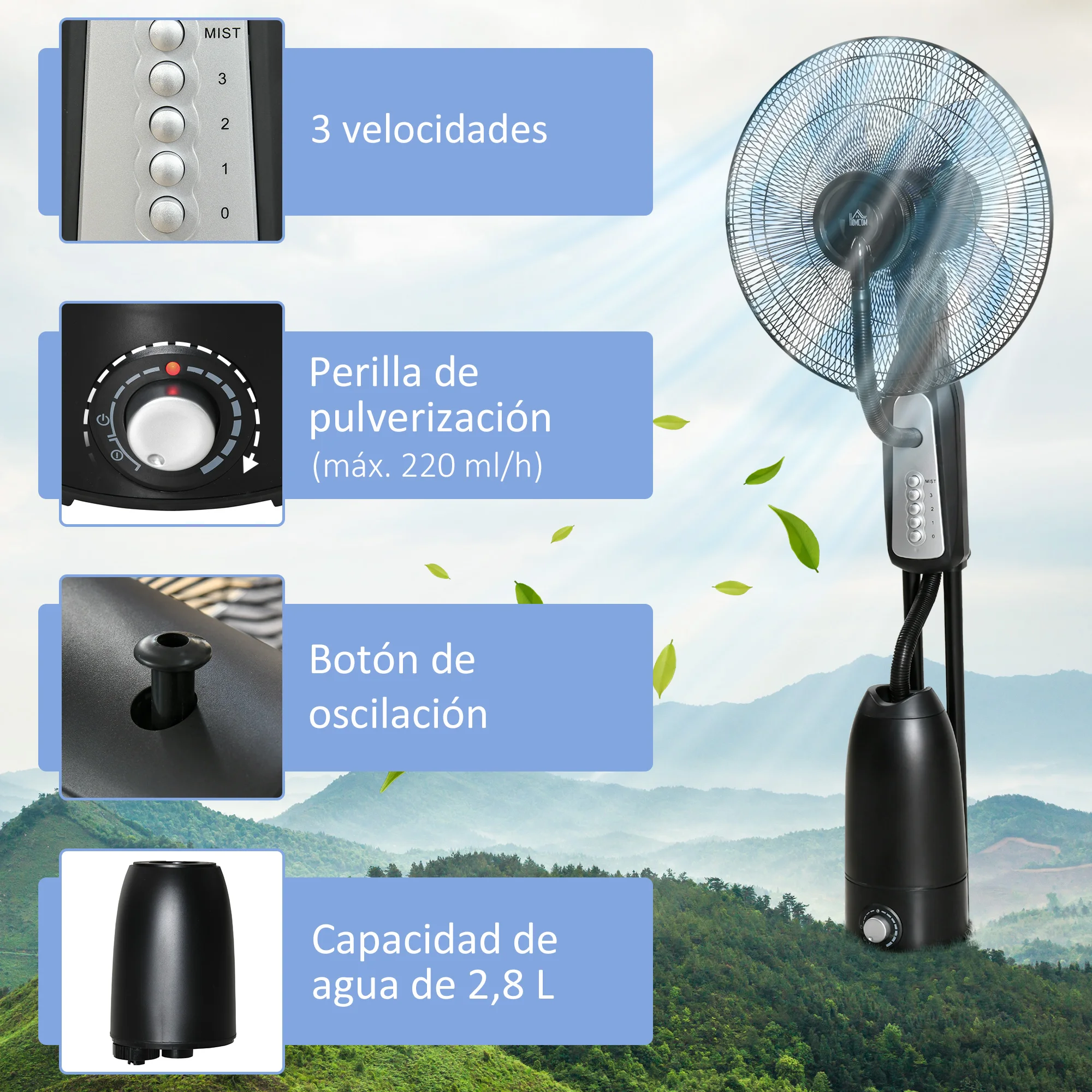 Imagen 5