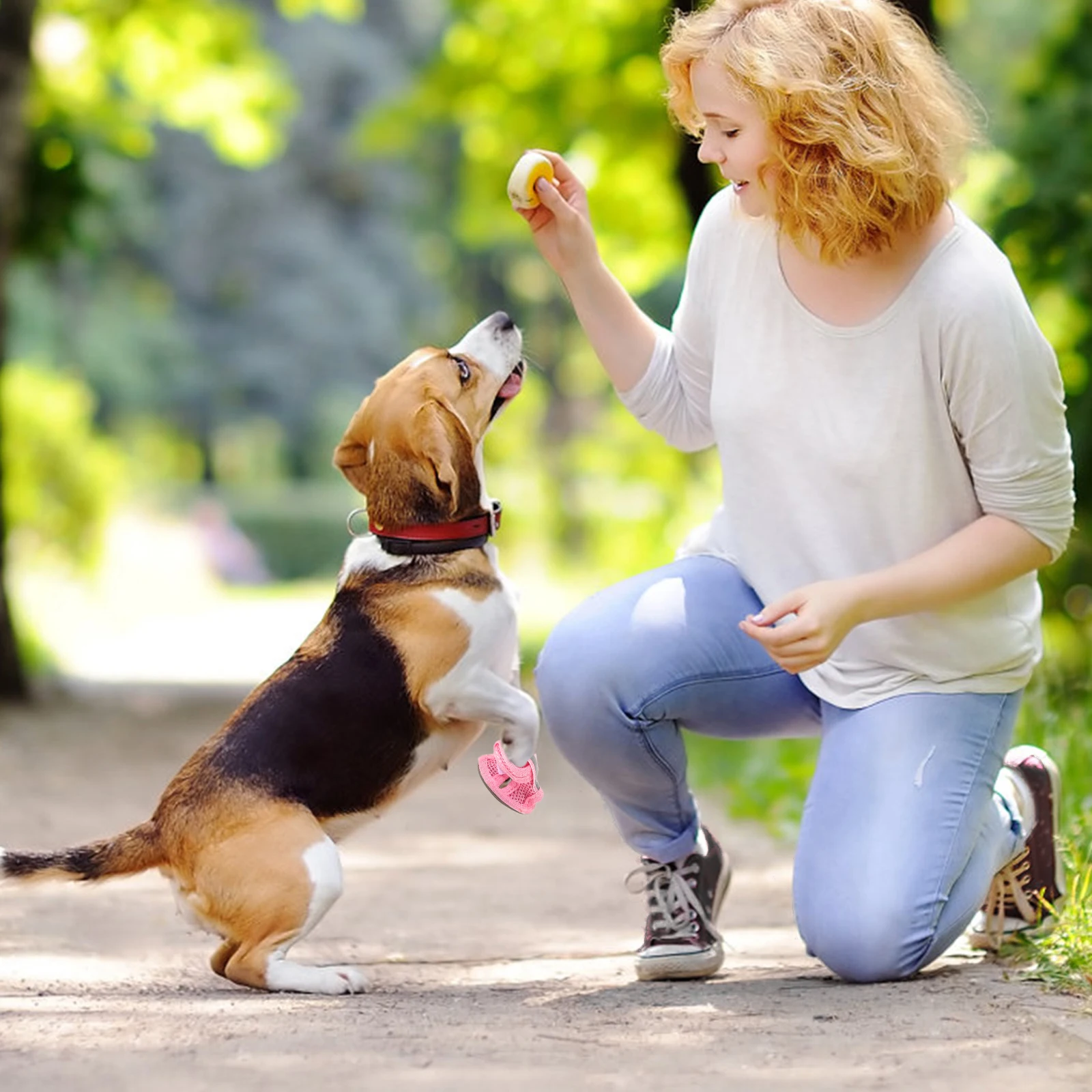 

4 Pcs Dog Shoes Pet Sandals Breathable Mesh Lightweight Flexible Sole Burn Hot Pavement Deck Beach Pet