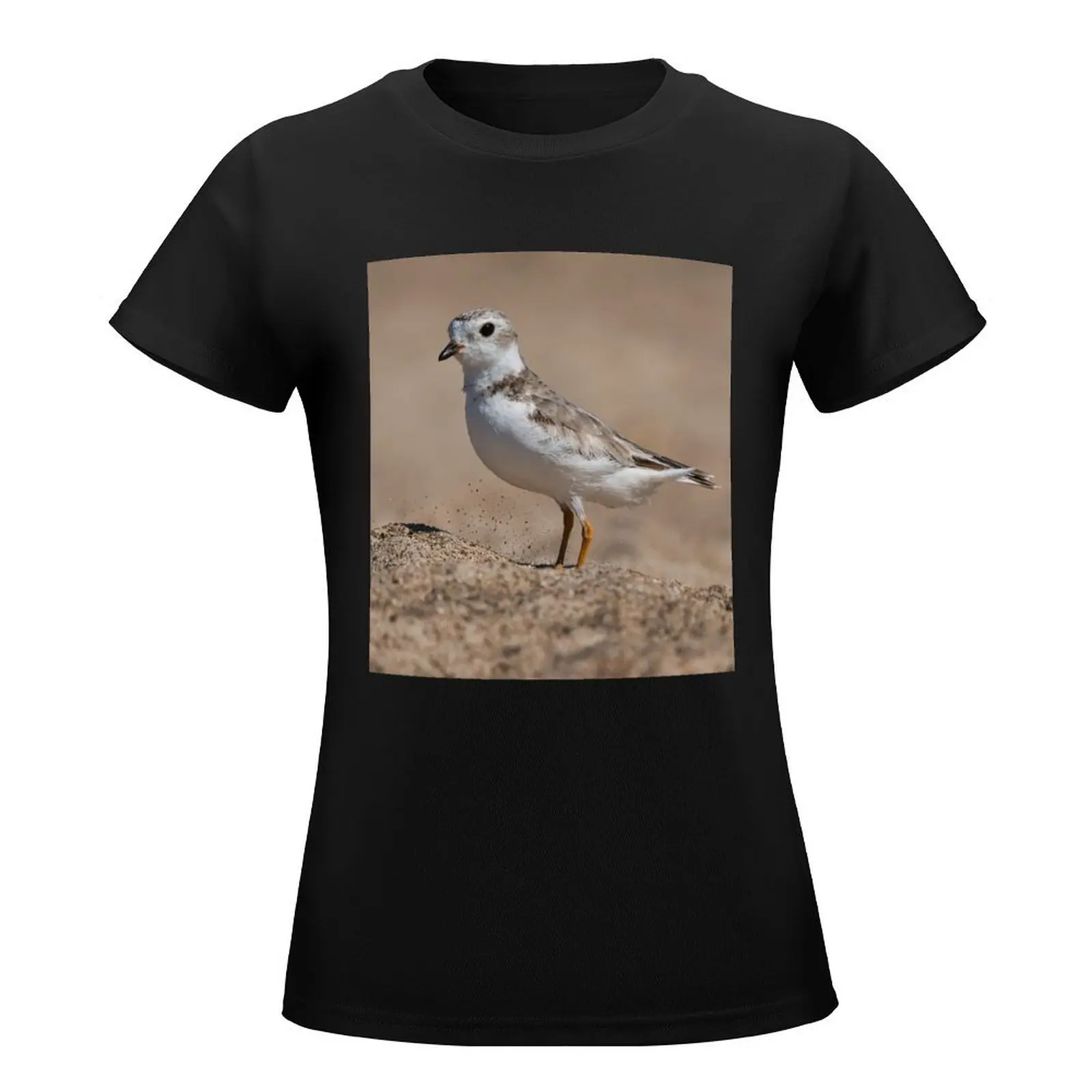 Piping Plover in the Sand T-Shirt Female clothing shirts graphic tees Short sleeve tee womans clothing