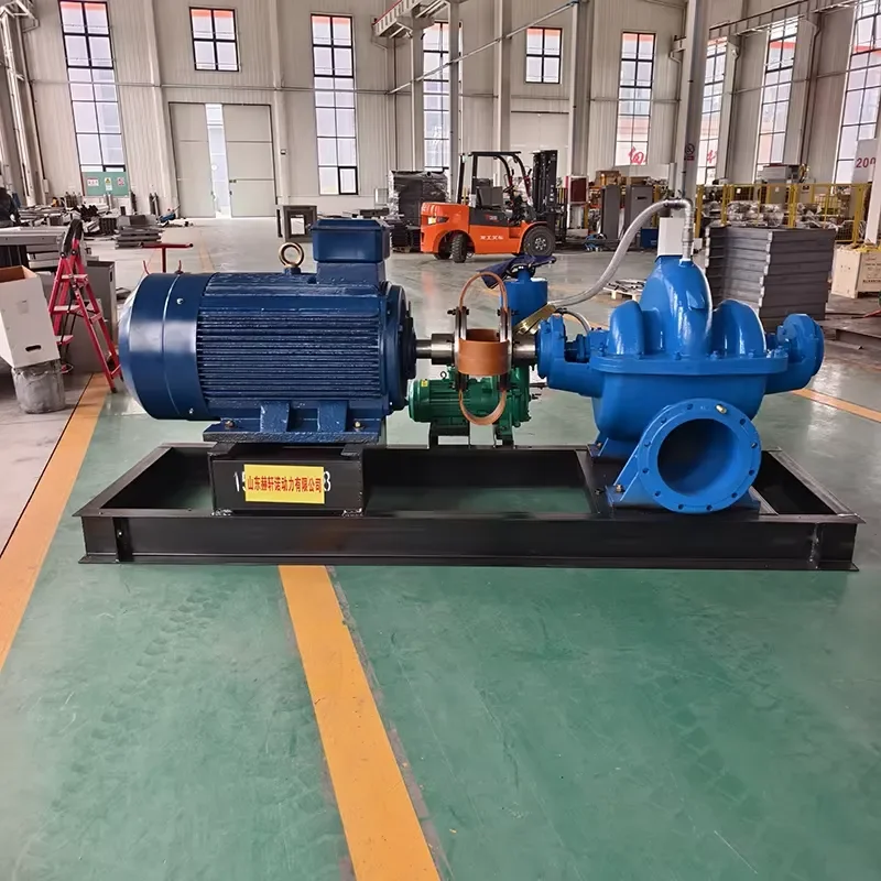 Stainless Steel Centrifugal Double Suction High Flow Pump for River Basin Flood Drainage Water Conservancy Project Split Pump