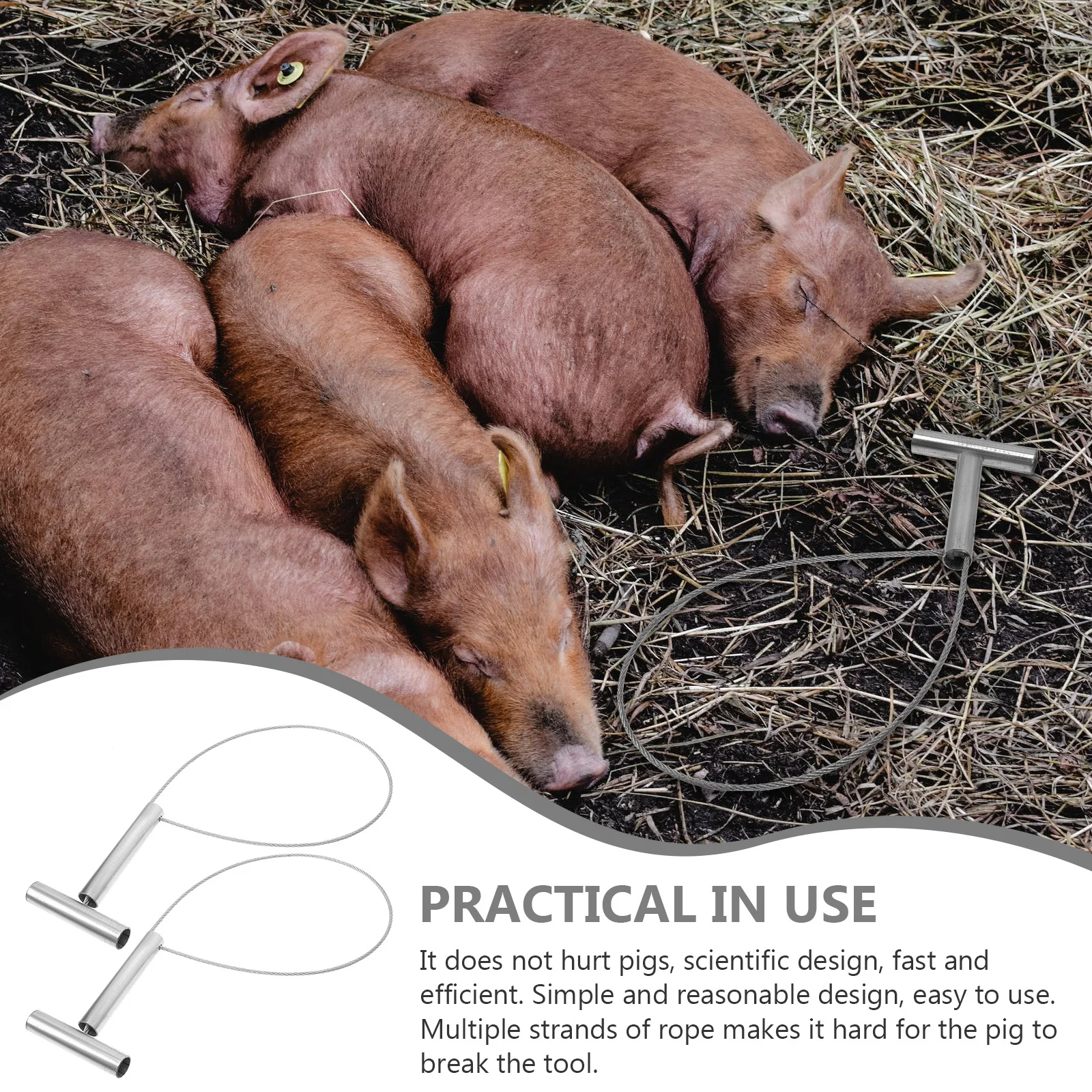 

2 pcs Pig Restraint Catcher Holder Farm Equipment Steel Wire Rope Short Rod Veterinary Tools Animal Handling Accessories