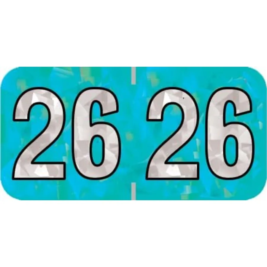 2026 Year Stickers Doctor Stuff Holographic Aqua Colored USA Made Year Labels for End Tab File Folders 500 Labels per Roll 3/4
