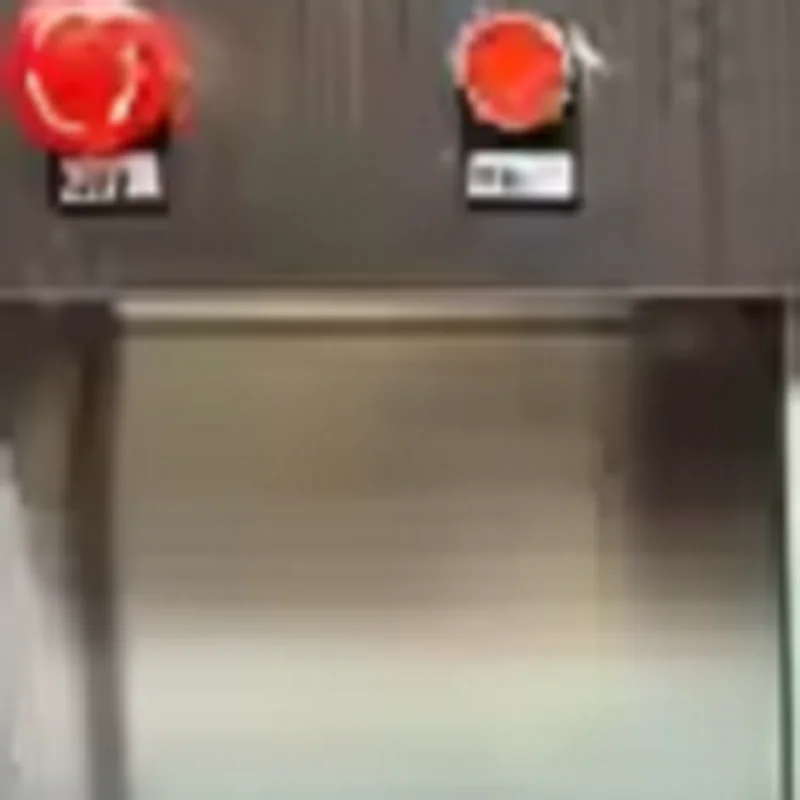 110V 220V Stainless…