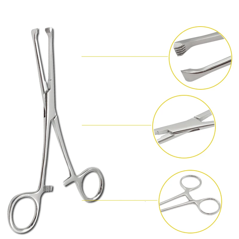 

Stainless steel tissue forceps, mouse tooth forceps, uterine and tibial forceps