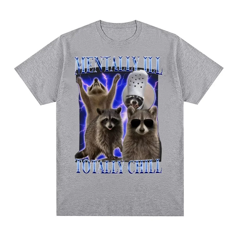 Mentally Ill Totally Chill Funny Raccoon Meme T-shirt Women Clothing Vintage Graphic T Shirt Summer Tops O-NeckTees Graphic Y2K