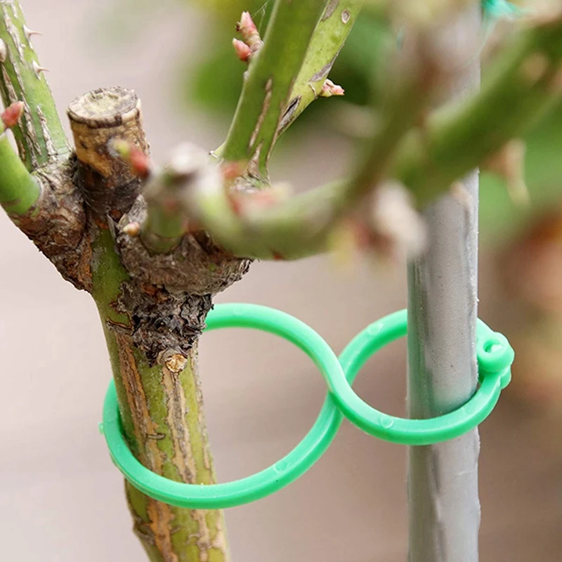 Plant Twist Clip Ties Garden Plant Support Clips Vegetables Tomato Vine Flower Clips Plant Locks For Securing Plant