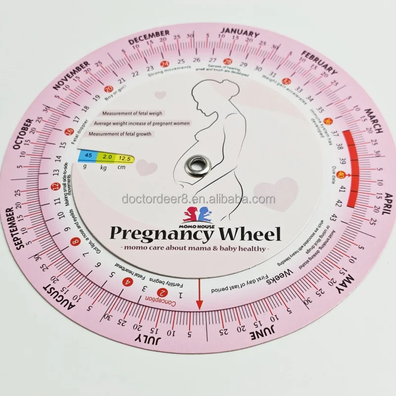 Customizable Plastic Logo Color ObstetricS Wheel Calculator Gestation Born Date Chart Average weight increase of pregnant women