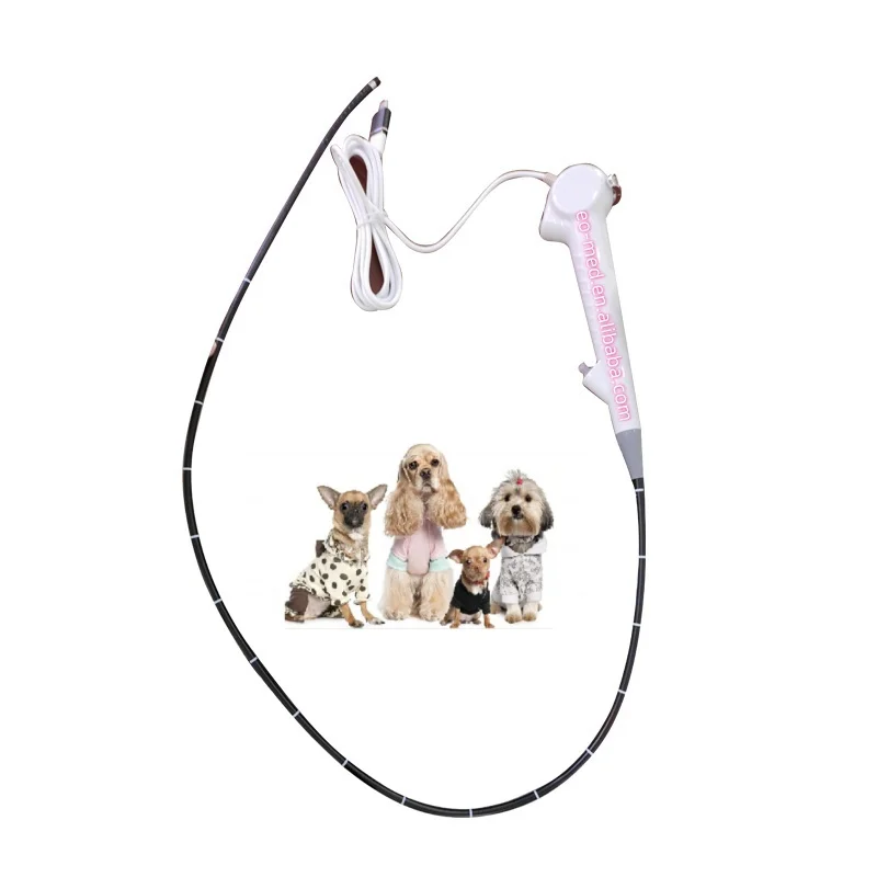 Portable Veterinary Flexible USB Endoscope video endoscope FVE10-vet